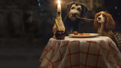 Lady and the Tramp izle