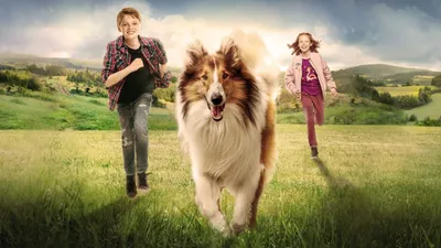 Lassie Come Home izle