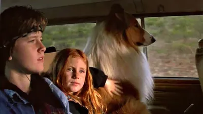 Lassie izle