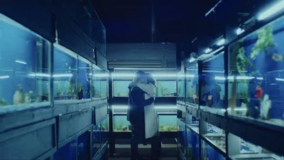 Little Fish - Küçük Balık izle