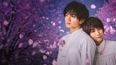 Love Like the Falling Petals izle