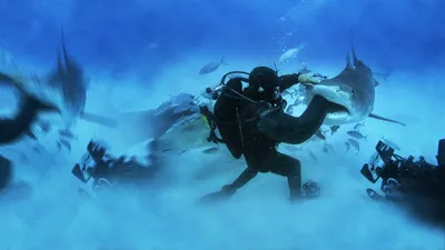 Man vs Shark izle