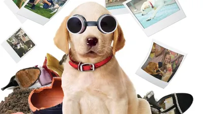 Marley ve Ben Gençlik Yılları izle