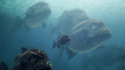 Mega Piranha izle