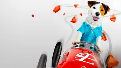 Pancho, el perro millonario izle