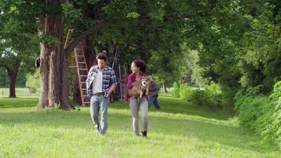 Night of the Wild izle
