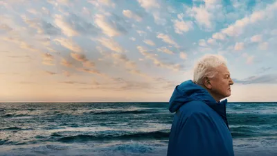 Ocean with David Attenborough izle