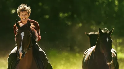 Out Stealing Horses izle