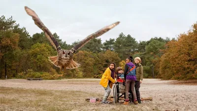 Owls & Mice izle