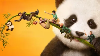 Panda Plan izle