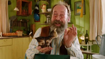 Fırıldak Kedi Findus izle