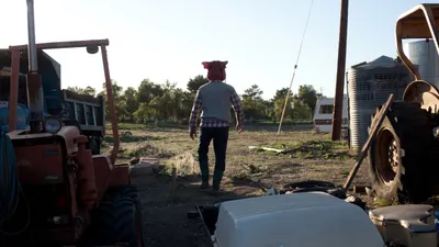 Pig Killer izle