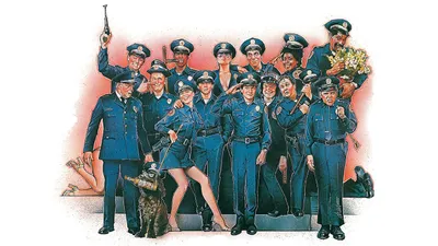 Polis Akademisi izle