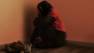 Primate izle