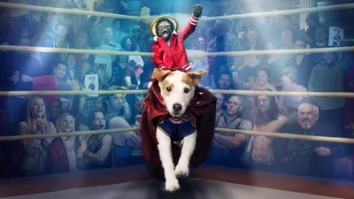 Russell Madness izle