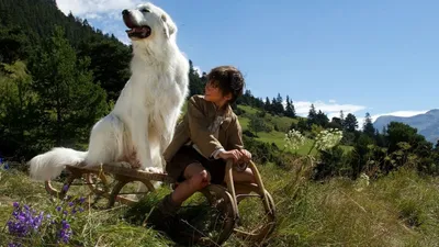 Sebastian Sevgili Dostum izle