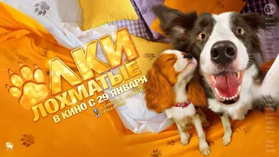 Shaggy Christmas Trees izle