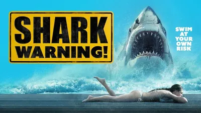 Shark Warning izle