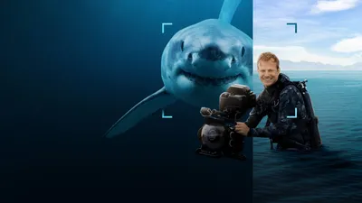 Sharks Up Close with Bertie Gregory izle