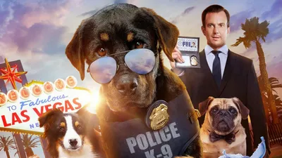 Show Dogs izle