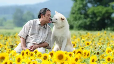 Star Watching Dog izle