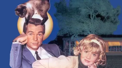 O İllet Kedi izle