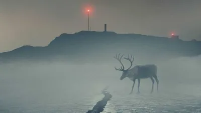The Abyss izle