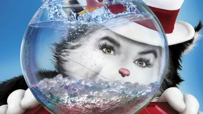 Şapkalı Kedi izle