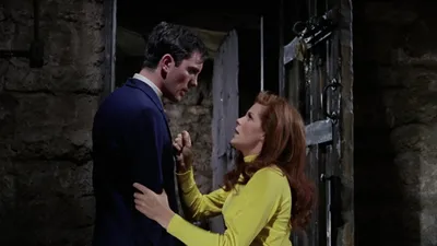 The Collector izle