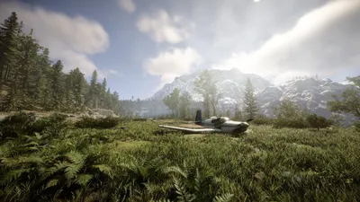 The Forest izle