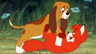 Tilki ve Avcı Köpeği izle