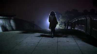 Av Sahası izle