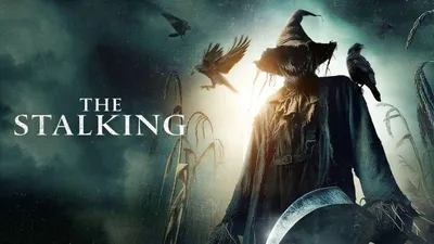 The Stalking izle