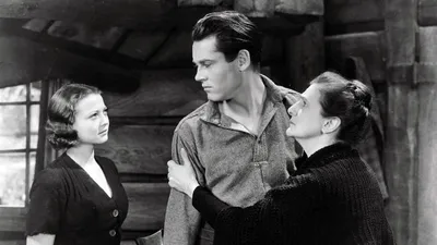 The Trail of the Lonesome Pine izle