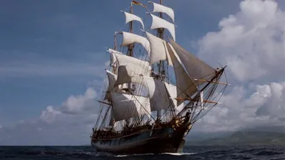 Treasure Island izle
