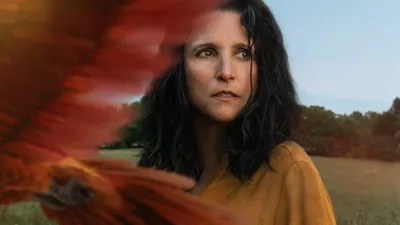 Ayrılış izle