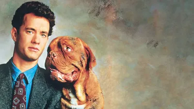 Dikkat Köpek Var izle
