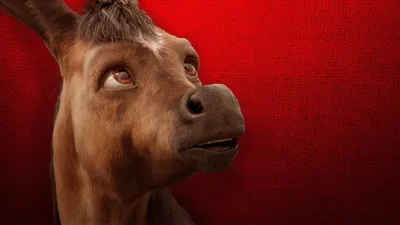 Upon the Magic Roads izle