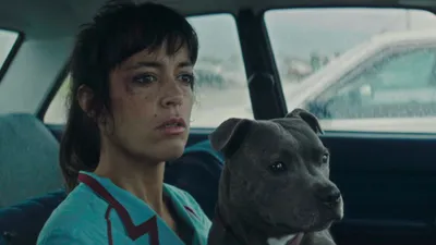 Vincent Ölmeli - Vincent Must Die izle