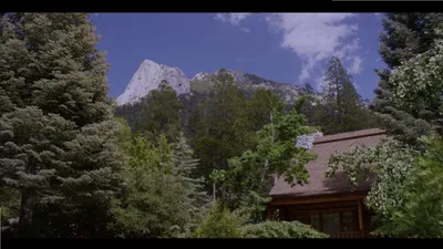 Why? izle