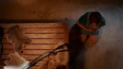 Womb izle