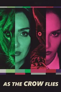 Kuş Uçuşu izle