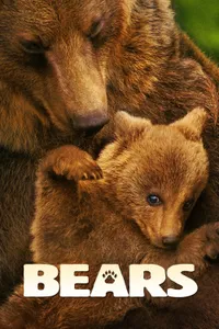 Ayılar izle