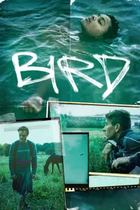 Kuş izle