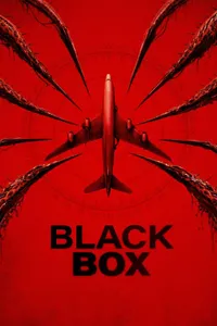 Black Box Flight 298 izle