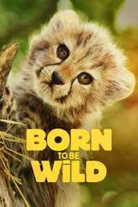 Born to Be Wild izle