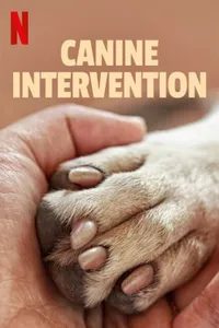 Canine Academy izle