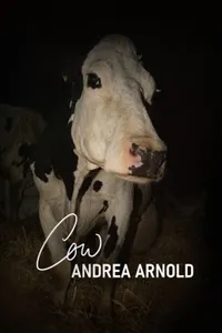 Cow izle