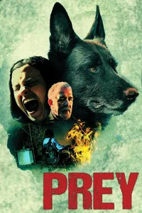 Cuerdas izle