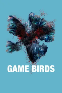 Horoz Dövüşü izle